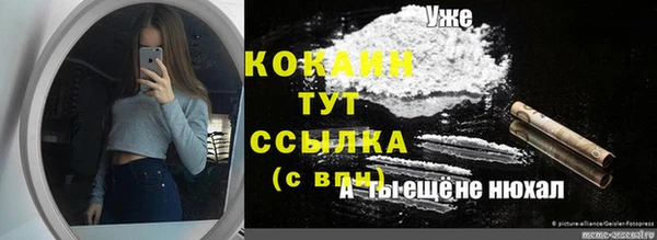 кокс Алексин