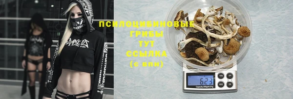 а пвп мука Алзамай