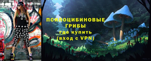 а пвп мука Алзамай