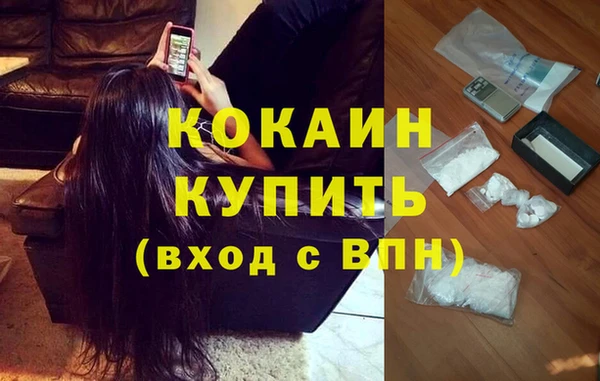 кокс Алексин
