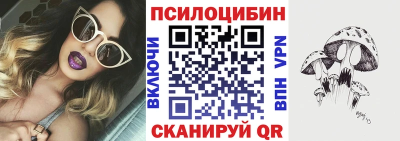Галлюциногенные грибы Psilocybine cubensis Асино
